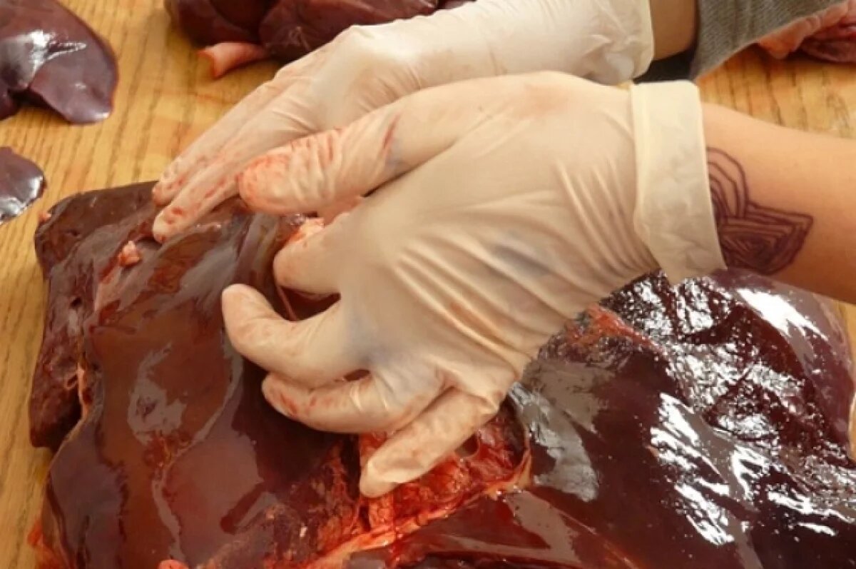    8 тонн мясной продукции из сырья неизвестного происхождения нашли на Урале