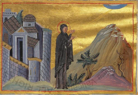 Матрона Царьградская.Поле чудес от 22 ноября 2024 года