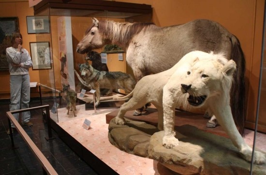    Фото: Кирилл Искольдский