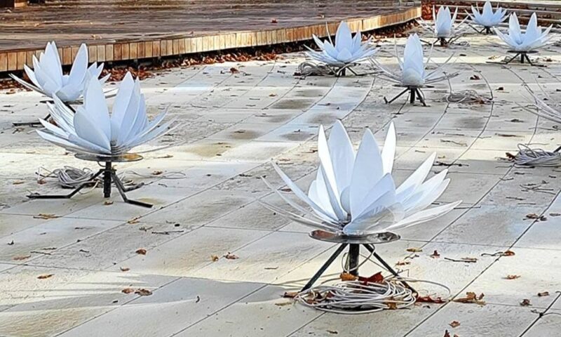    Фото t.me/park_galitskogo