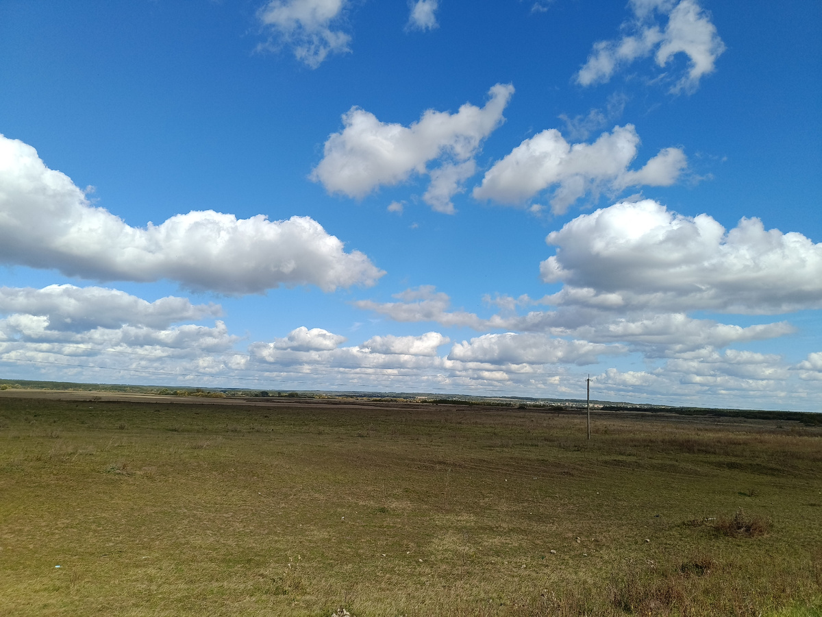 В наши поля и луга пришла осень