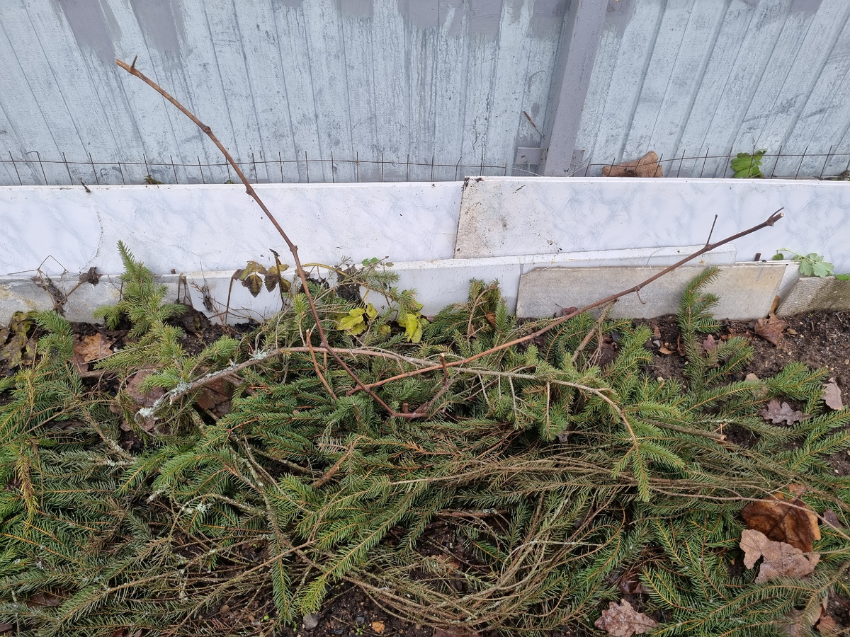 Фото автора.