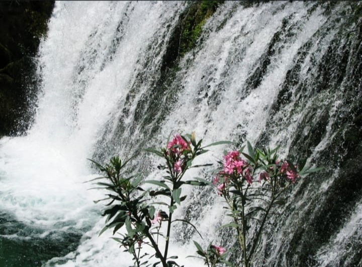 Сон про Шведскую стенку, из рубрики "Печальные сны"