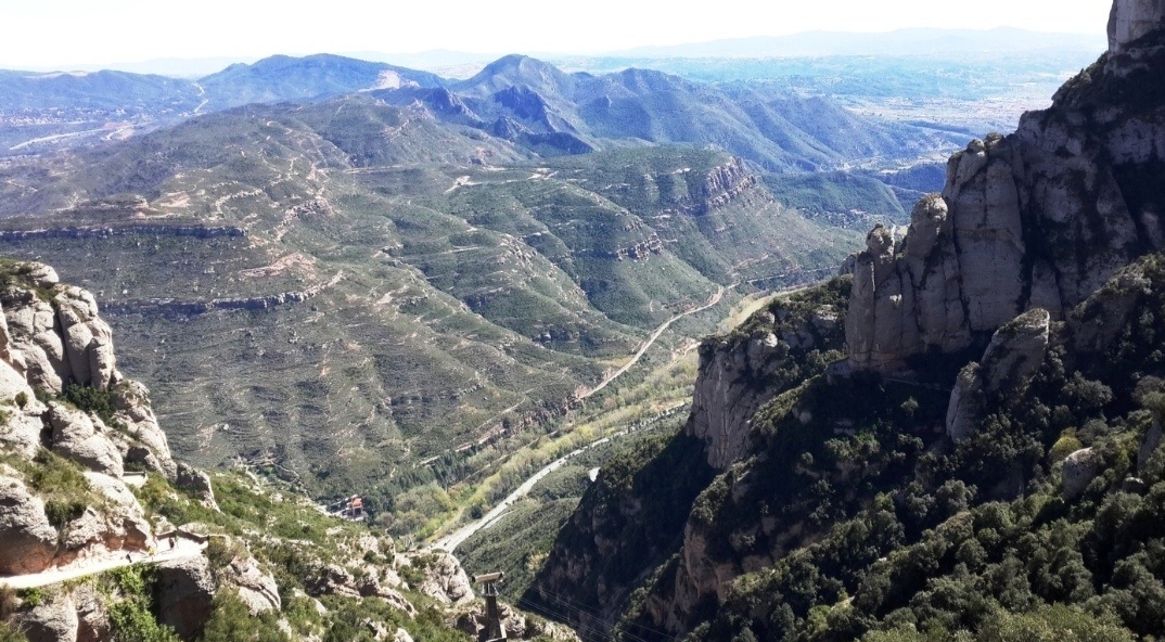 Сон про Шведскую стенку, из рубрики "Печальные сны"