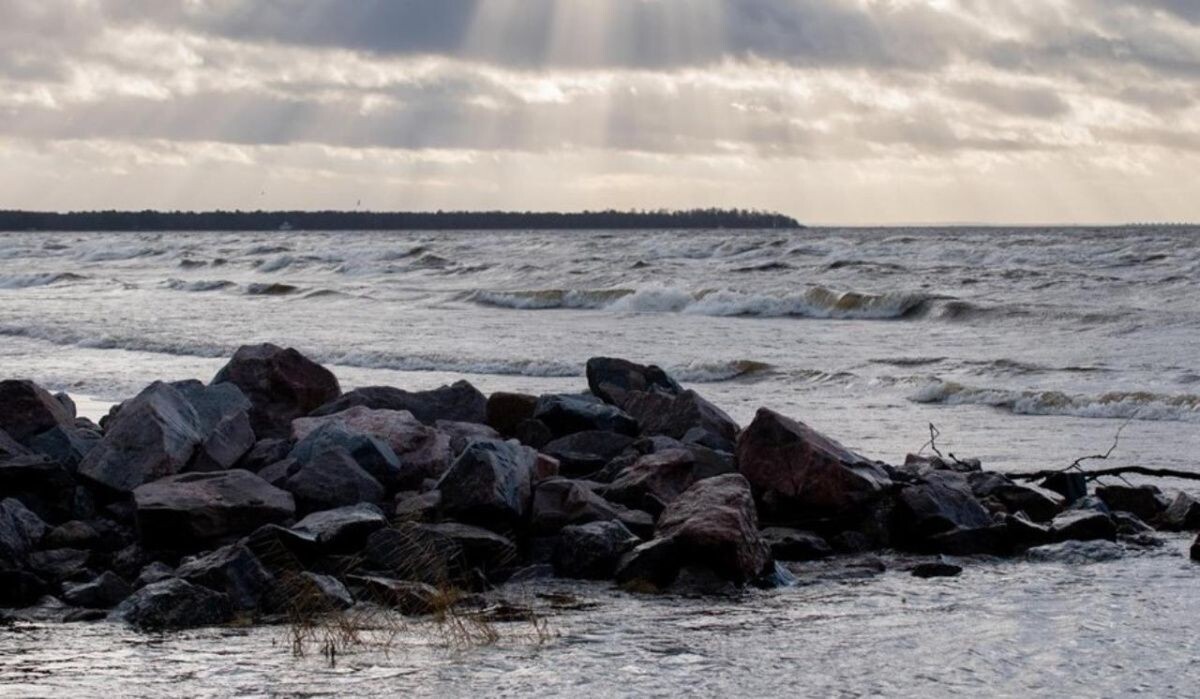     Шторм на Финском заливе. Источник: dp.ru Автор фото: Ермохин Сергей