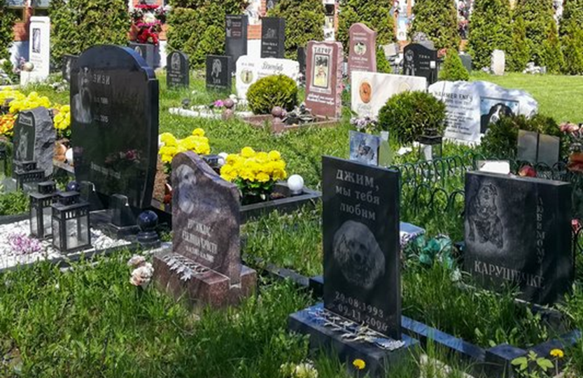 Кладбище домашних животных в Москве