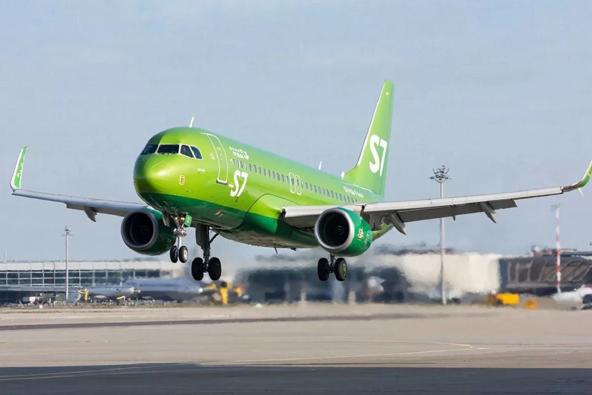 Фото: Коллаж RuNews24.ru