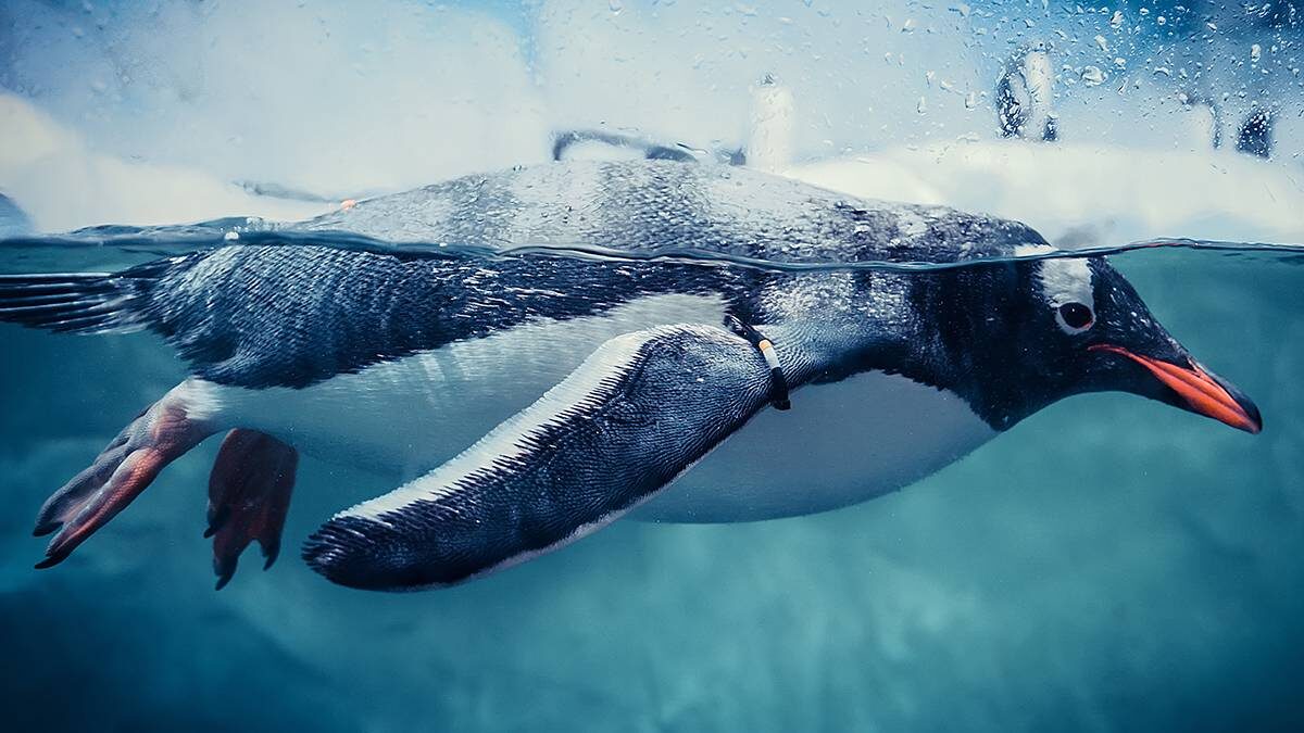    Фото: Shutterstock