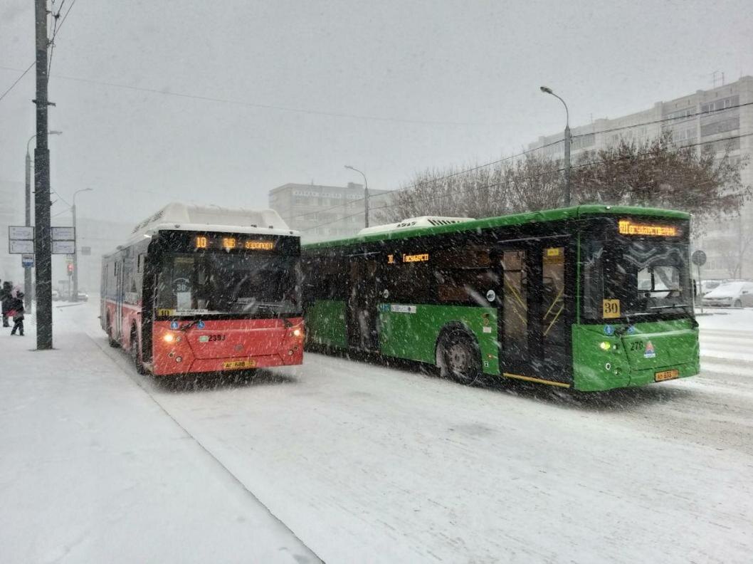 Фото: Михаил Болбель
