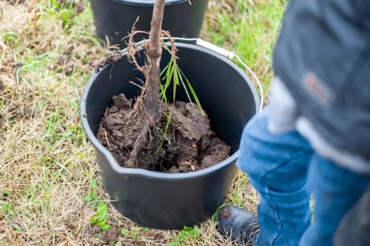    Осень или весна?