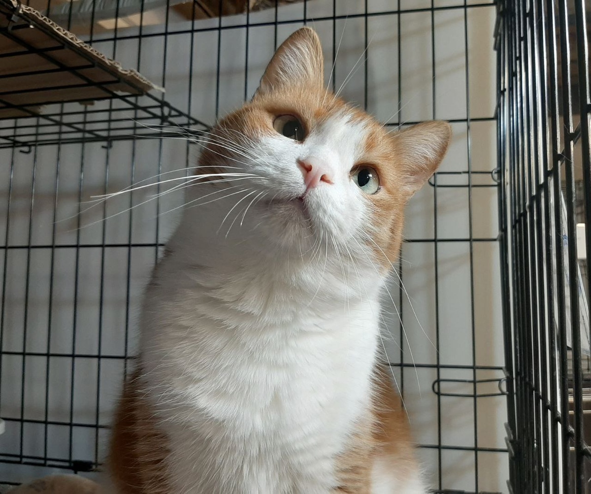 Устоять шансов не было.