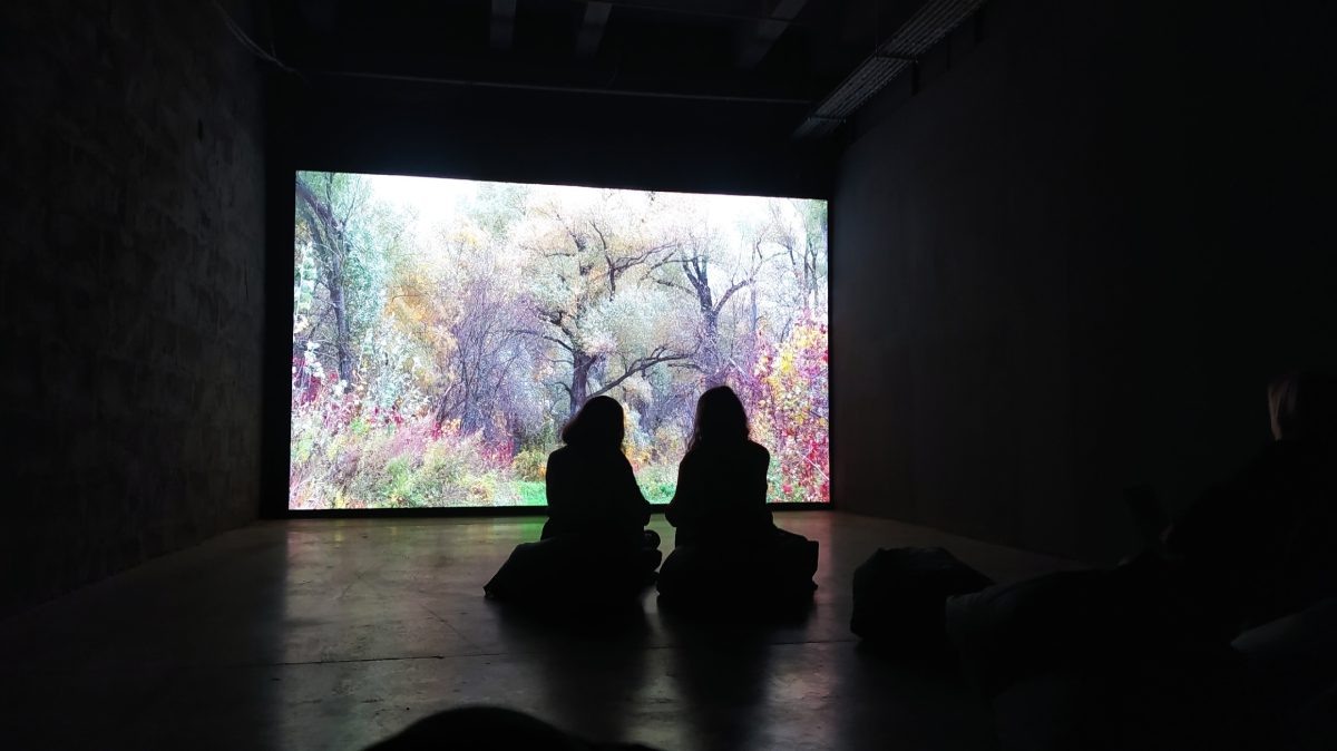    В Нижнем Новгороде открываются новые выставки