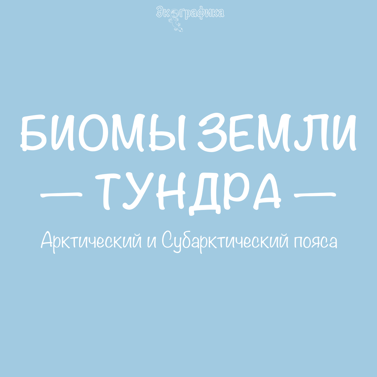 © Экографика. Иллюстрация 1