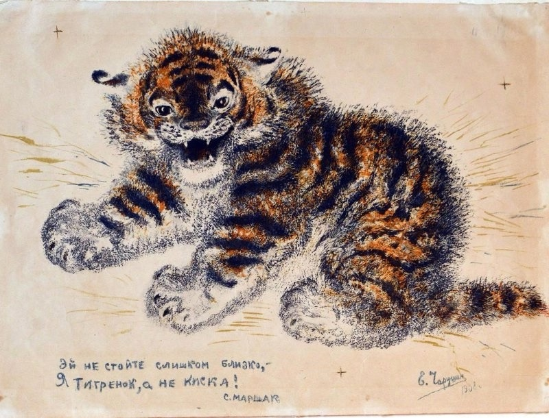 Чарушин Евгений Иванович «Тигрёнок» (1938, бумага, автолитография цветная)