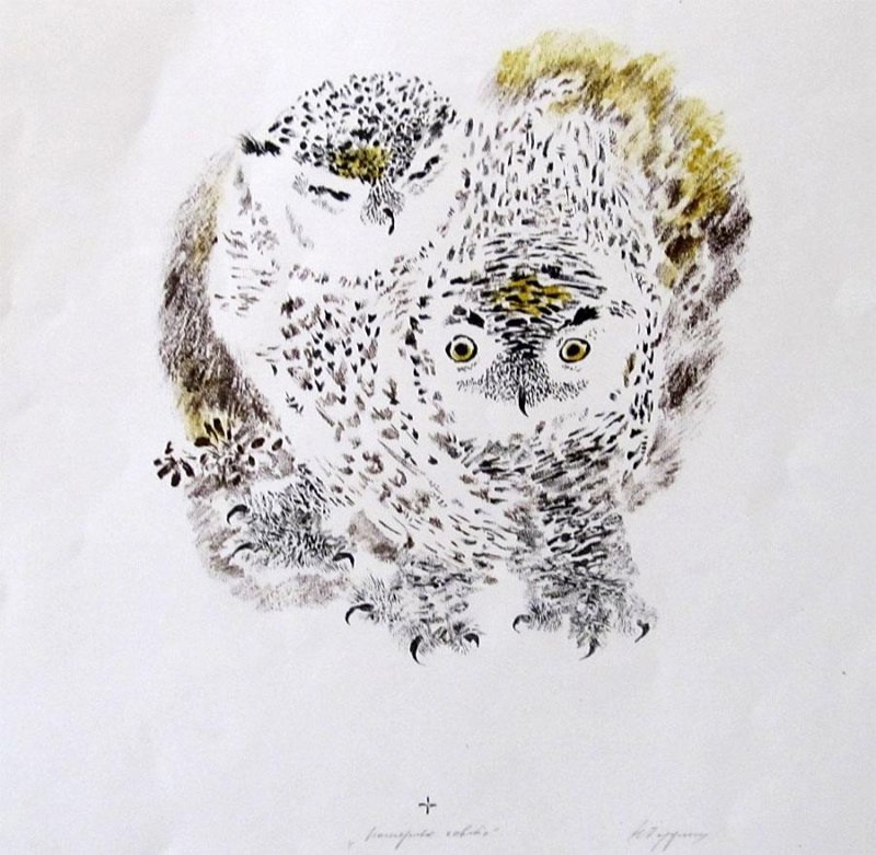 Чарушин Никита Евгеньевич «Полярные совята» (1979, бумага, автолитография цветная)