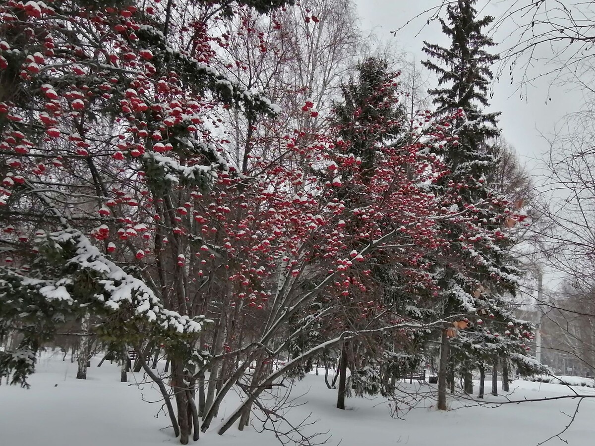 Такой красивый нынче ноябрь