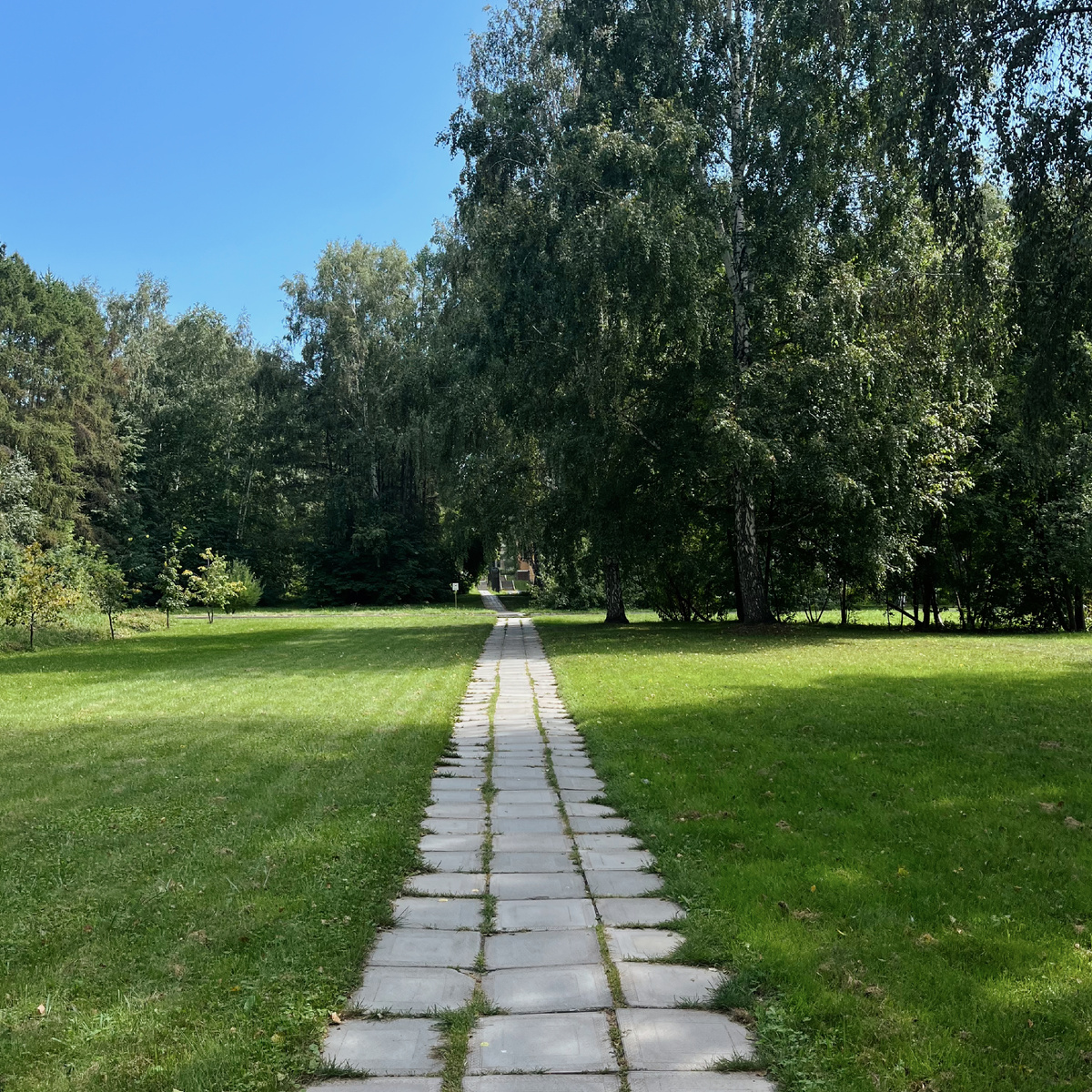 Там же в Академгородке