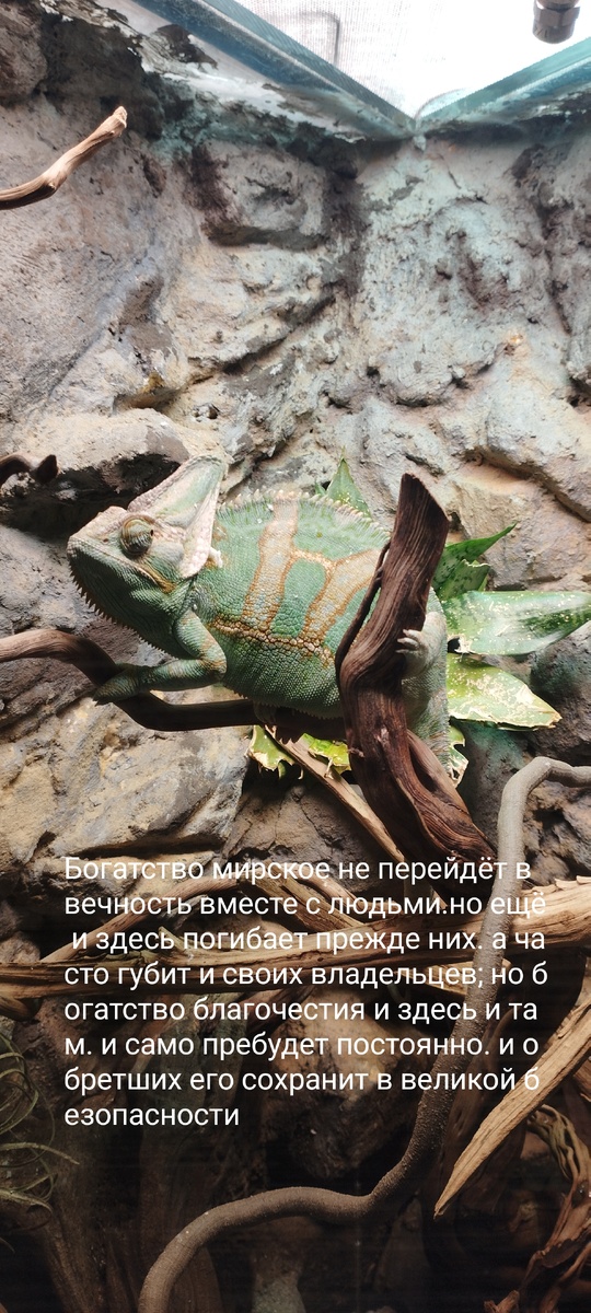 Иоанн Златоуст