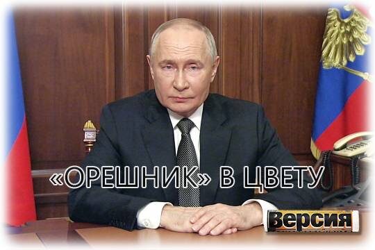    «Орешник» в цвету