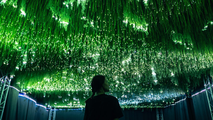    Фото предоставлено организаторами "НУР"