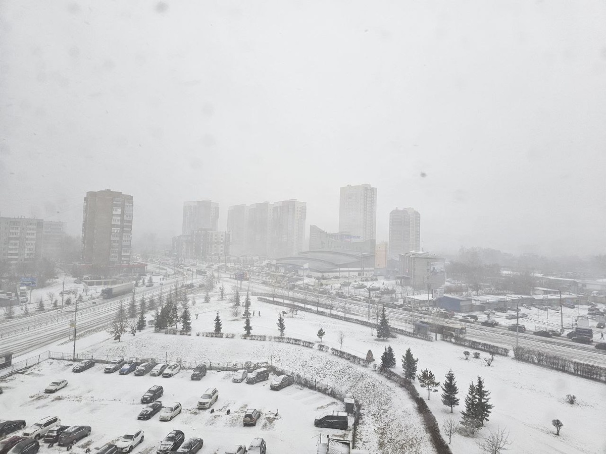    Фото: Telegram-канал «NGS24.RU — Новости Красноярска»