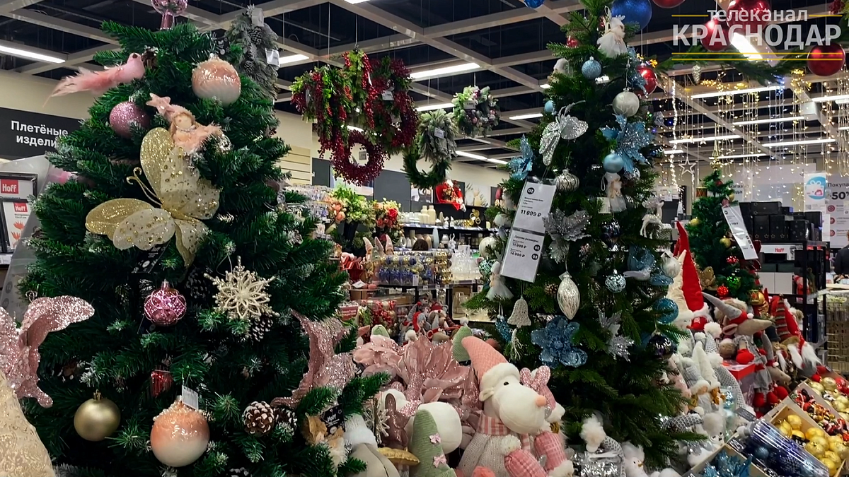    Фото: телеканал «Краснодар»