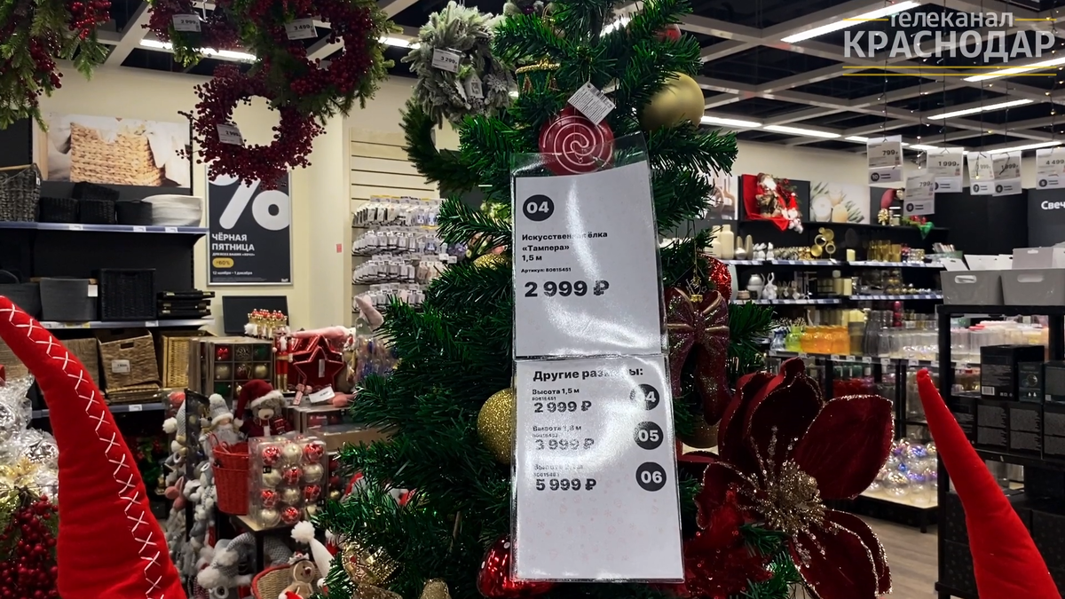 Фото: телеканал «Краснодар»