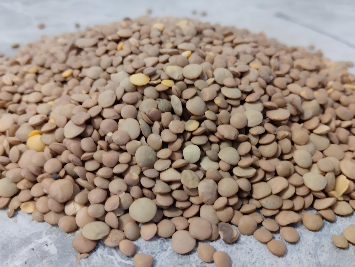 Фото: АПК Новости