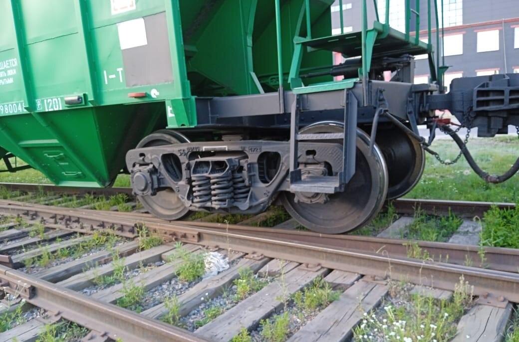 Фото: АПК Новости