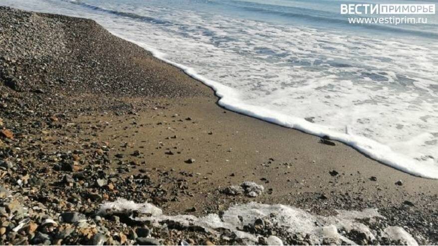    Источник фото: