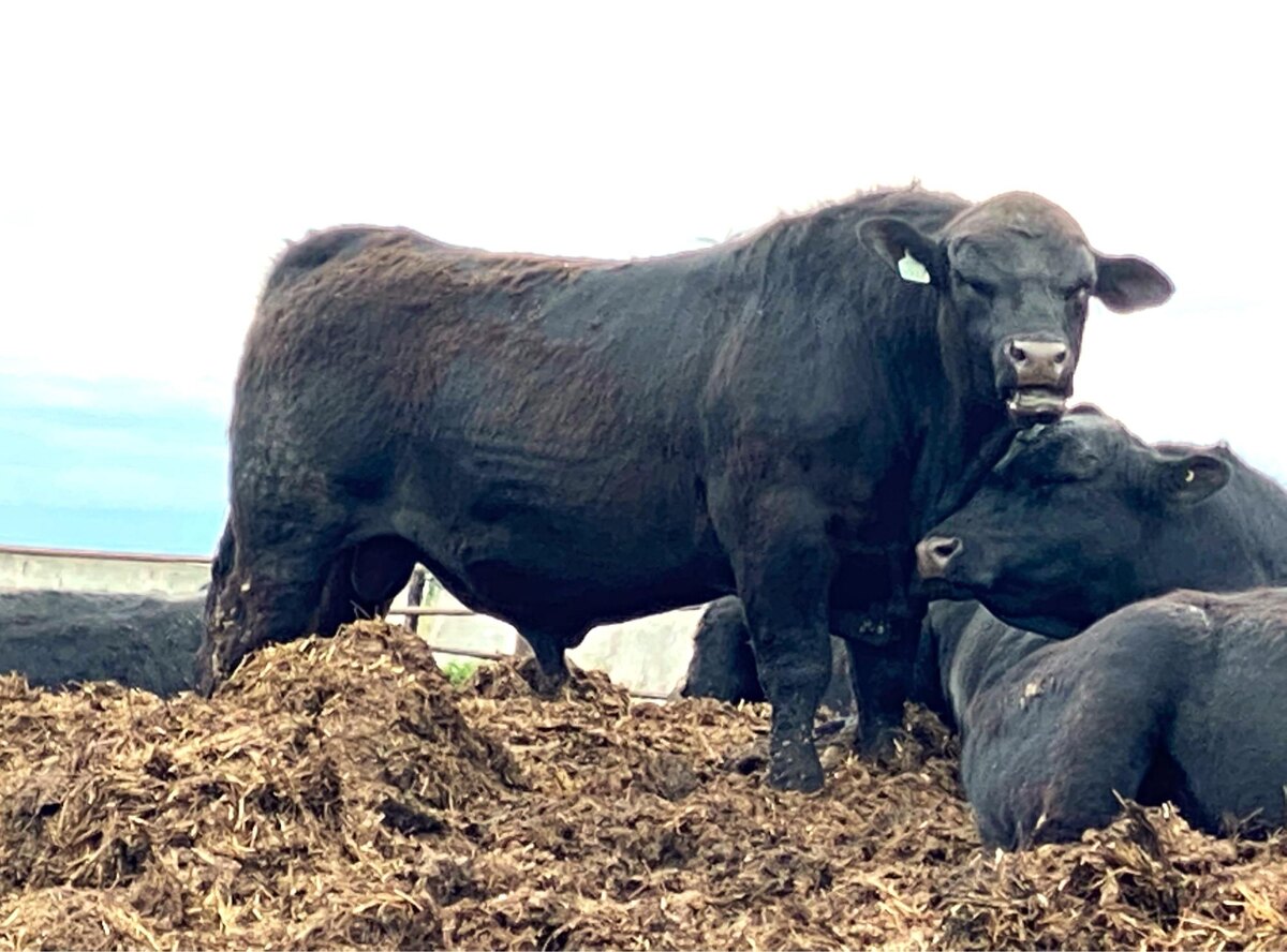 Фото: Д.Салыков