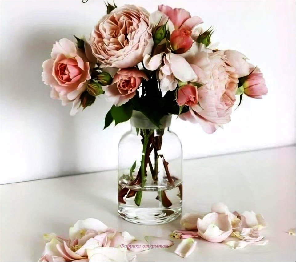 Фото из интернета