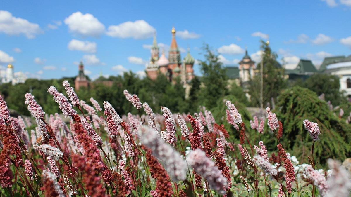    Фото: Мария Хапцова / Вечерняя Москва
