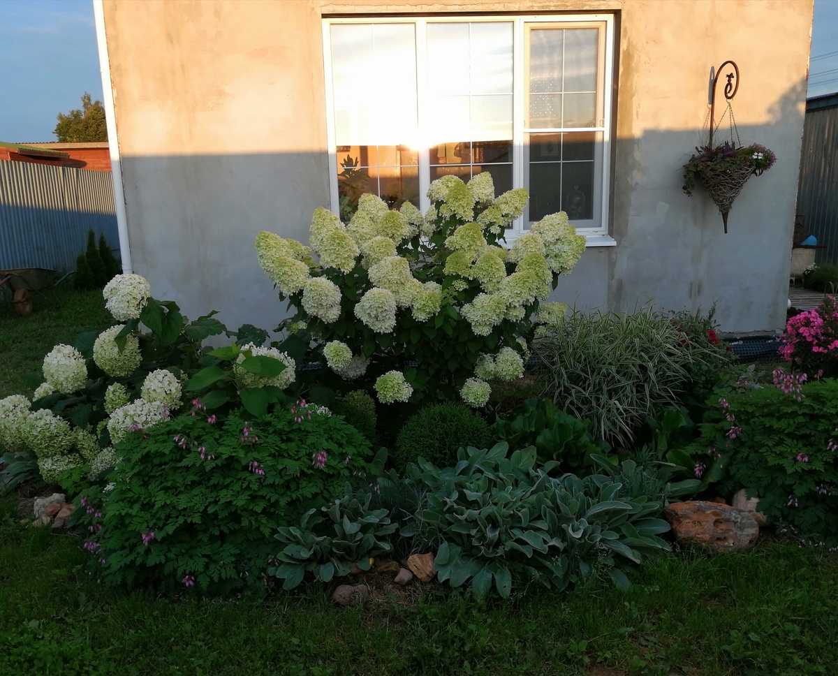 Прямо за моей спиной въездные ворота. От края клумбы до ворот порядка трёх метров