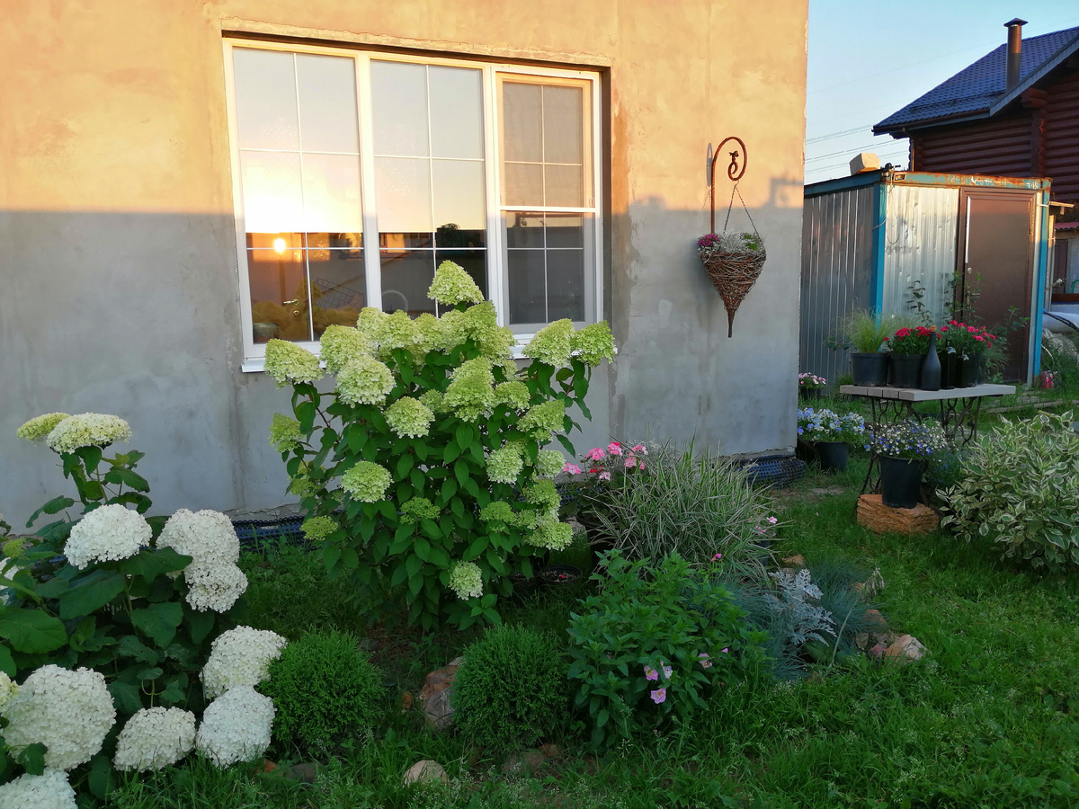 Вот он, вагончик, на фотографии прошлого года 