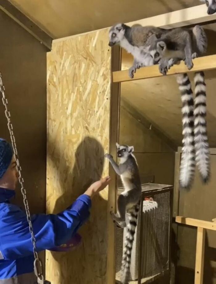 Источник фото: Телеграм-канал парка «Лога»