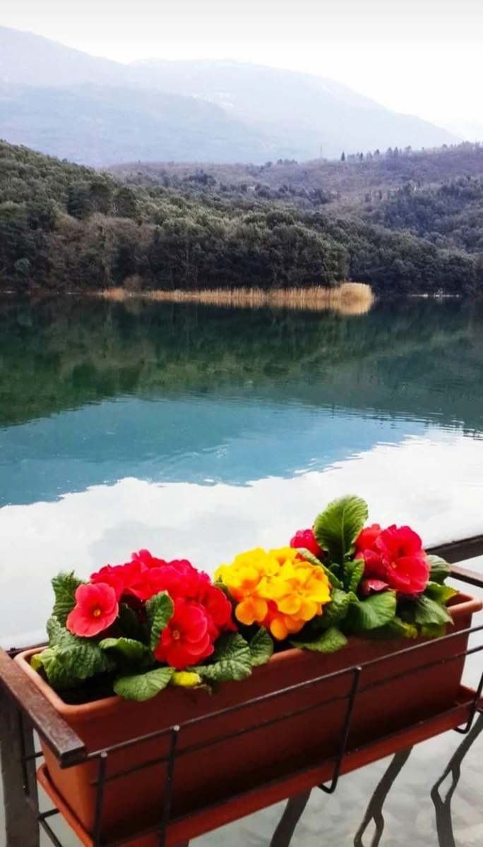 Сон про Зеркало и Синие глаза, из рубрики "Прикольные сны"