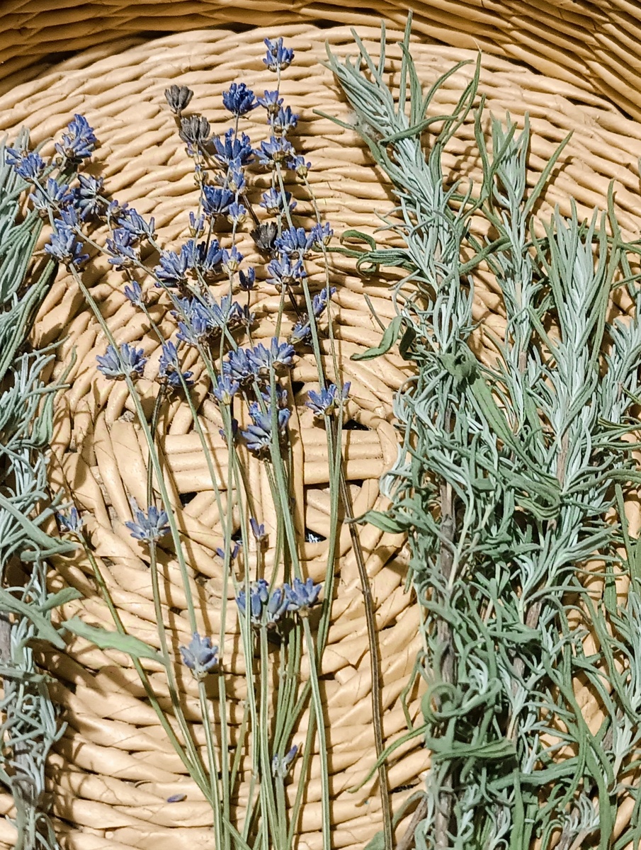 Заготовка лаванды . 