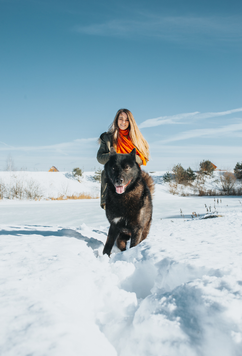 Как мы гуляем осознанно с Сумашей=) А про волка вам рассказать?