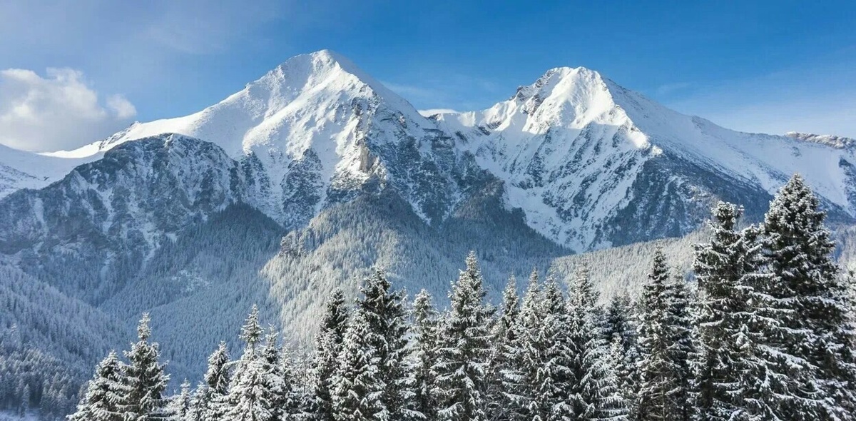 Заснеженные горы.