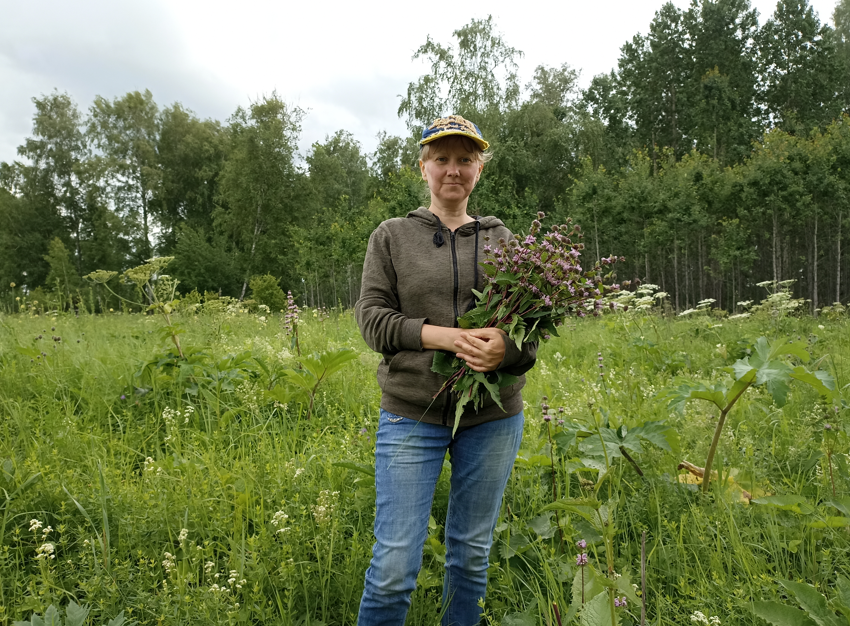фото автора - собираю травяной чай, правда для себя