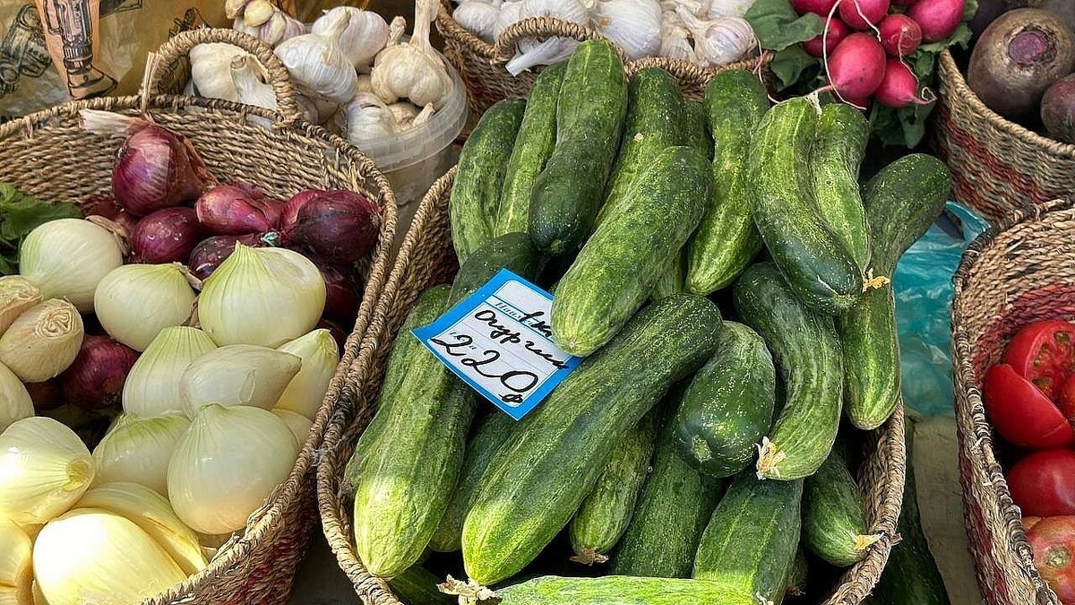    Фото: телеканал «Краснодар»