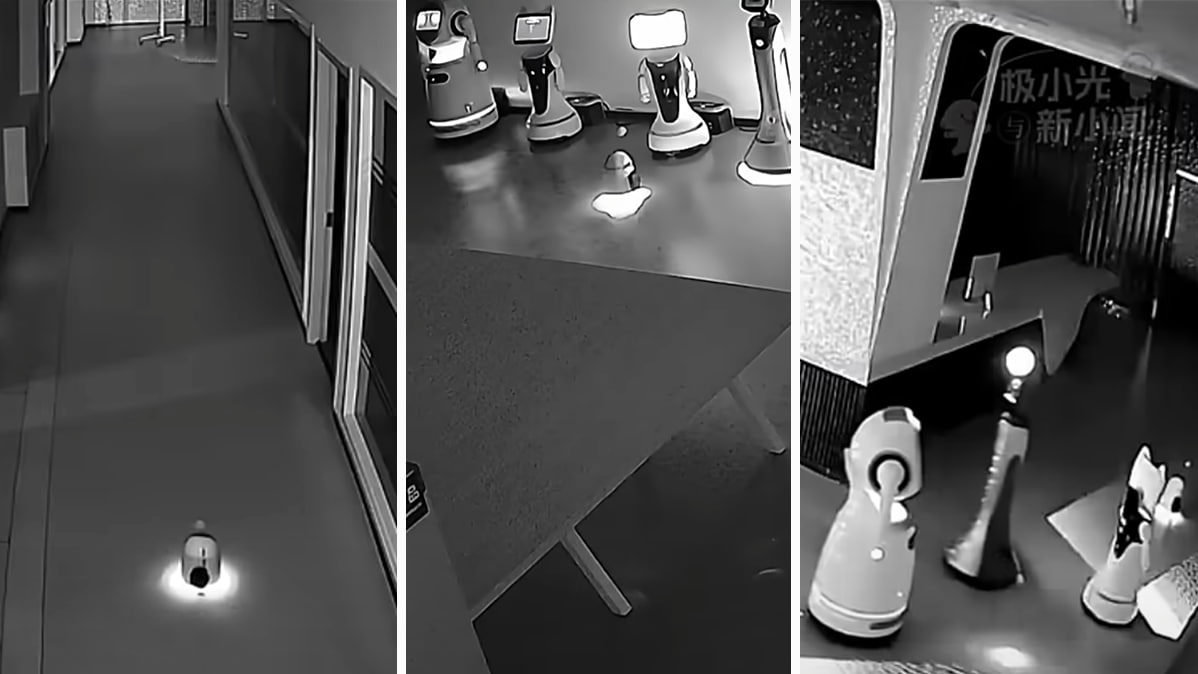 Фото: Youtube.com