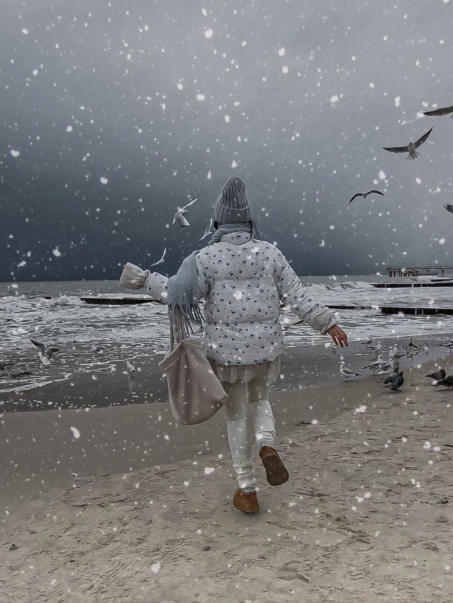 Я и Балтийские чайки, Зеленоградск 