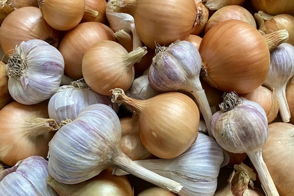 Фото: UfacityNews.ru