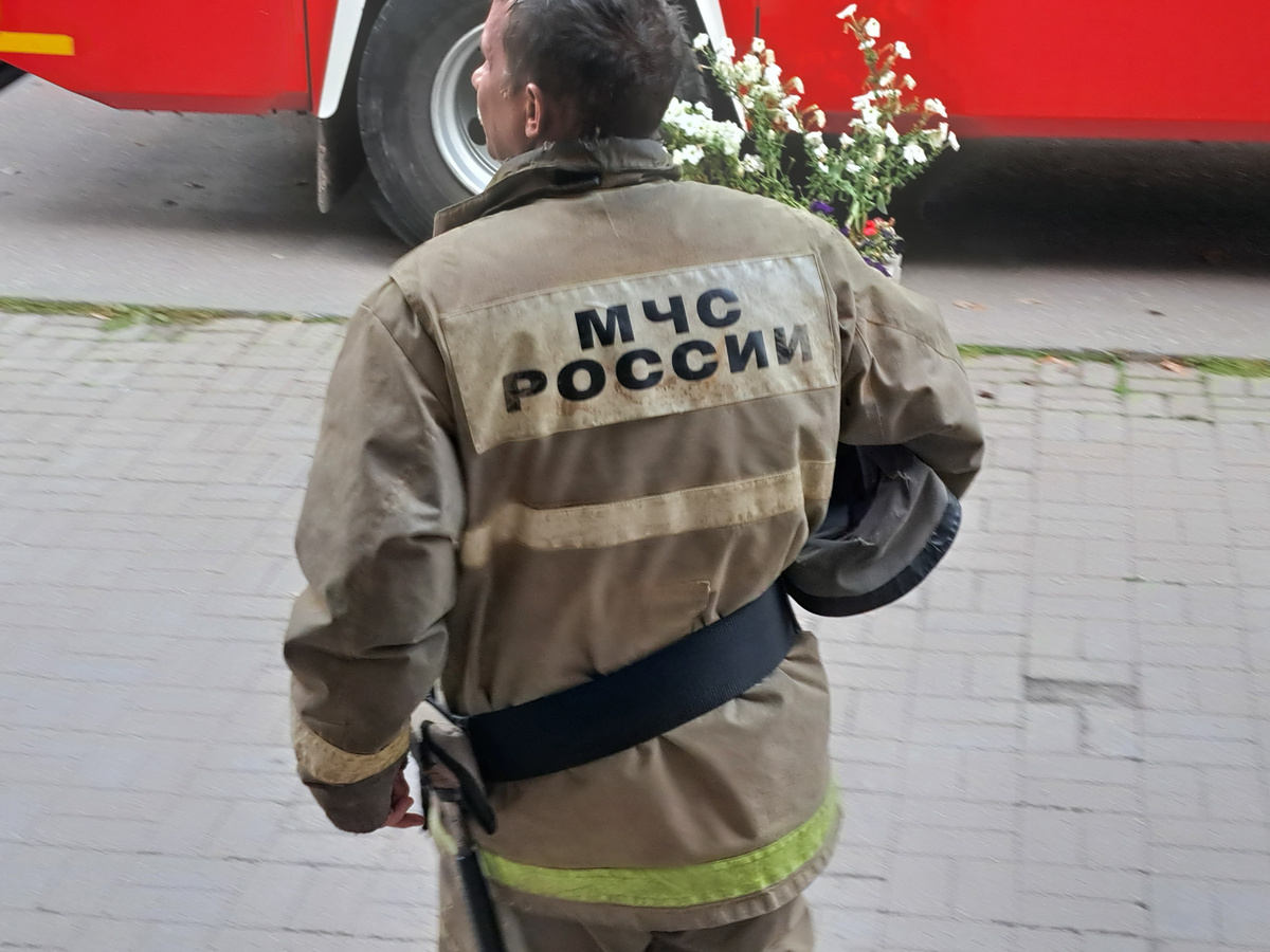 Спасатели предполагают, что пожар мог произойти по причине аварийного режима работы электросети.  Фото: Фото: ФедералПресс / Вера Романескул