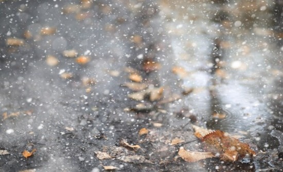    Фото: ru.freepik.com