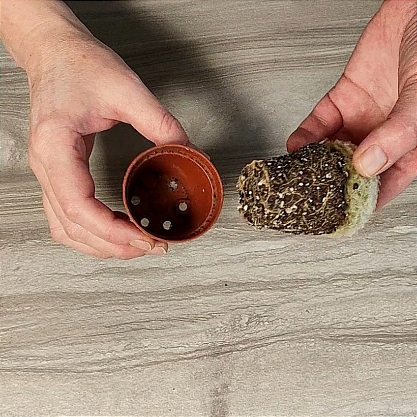 Приобретение