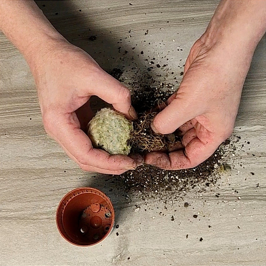 Убрать весь грунт