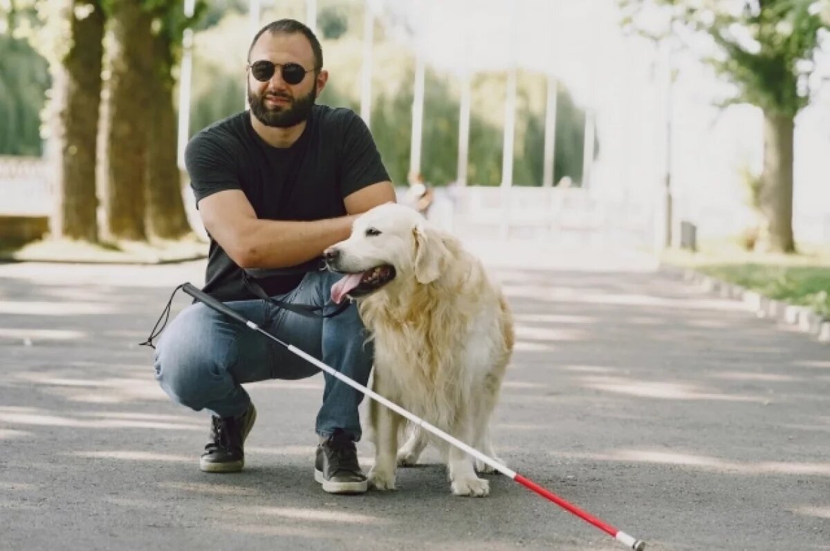    Компенсацию инвалиду с собакой взыскали в авиакомпании S7